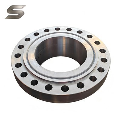 Flensa Baja Tahan Karat yang Ditempa